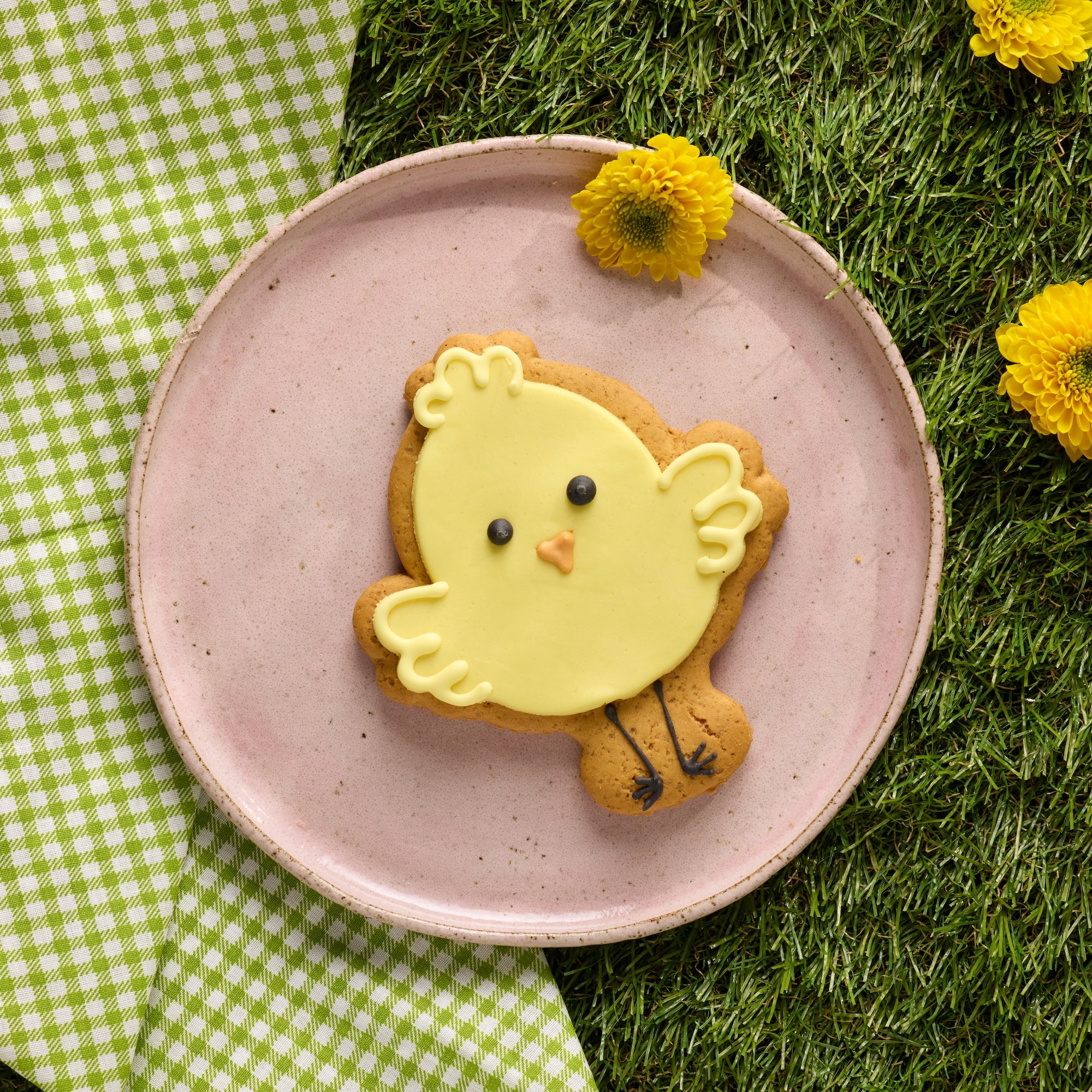 Large Easter Chick Biscuit